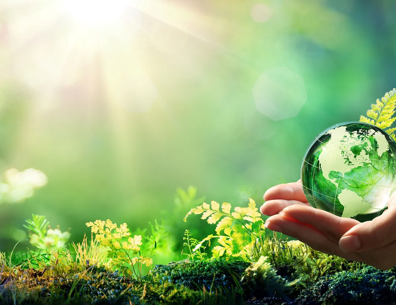 Global Composting Solutions
